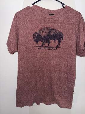 Prairie Mountain South Dakota Bison Graphic T-Shirt